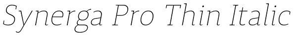 Synerga Pro Thin Italic Font