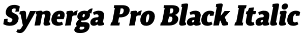 Synerga Pro Black Italic Font