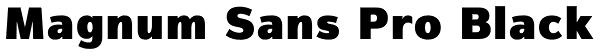 Magnum Sans Pro Black Font