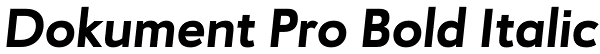 Dokument Pro Bold Italic Font