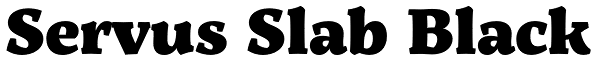 Servus Slab Black Font