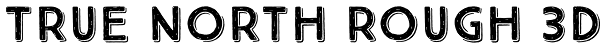 True North Rough 3D Font