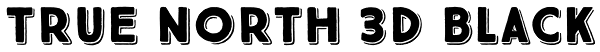 True North 3D Black Font