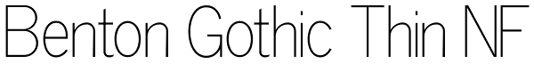 Benton Gothic Thin NF Font