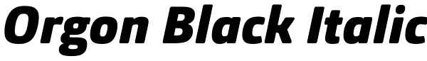 Orgon Black Italic Font