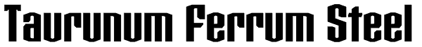 Taurunum Ferrum Steel Font