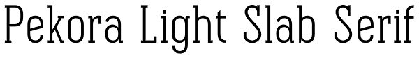 Pekora Light Slab Serif Font