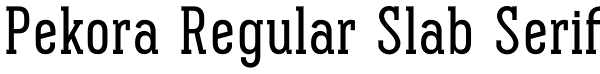 Pekora Regular Slab Serif Font