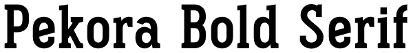 Pekora Bold Serif Font