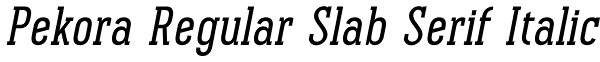 Pekora Regular Slab Serif Italic Font