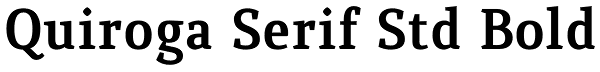 Quiroga Serif Std Bold Font