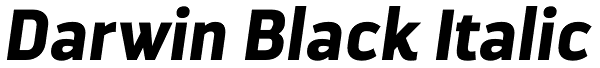 Darwin Black Italic Font