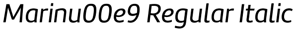 Marinu00e9 Regular Italic Font