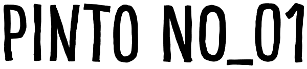 Pinto NO_01 Font