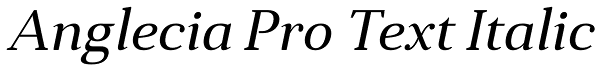 Anglecia Pro Text Italic Font