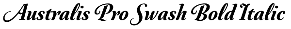 Australis Pro Swash Bold Italic Font