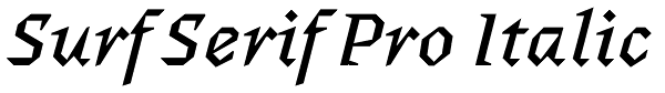 Surf Serif Pro Italic Font