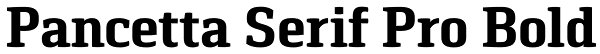 Pancetta Serif Pro Bold Font