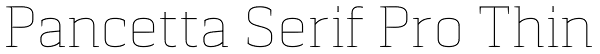 Pancetta Serif Pro Thin Font