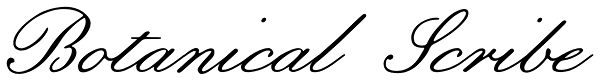 Botanical Scribe Font