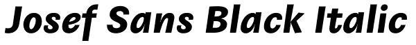 Josef Sans Black Italic Font