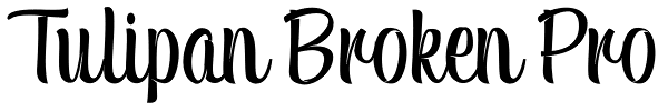 Tulipan Broken Pro Font