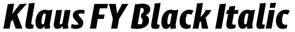 Klaus FY Black Italic Font