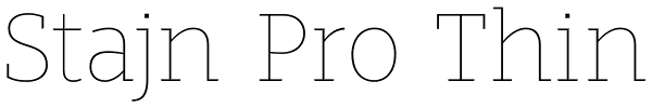 Stajn Pro Thin Font