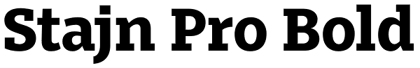 Stajn Pro Bold Font