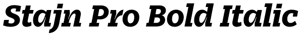 Stajn Pro Bold Italic Font