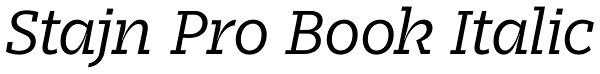 Stajn Pro Book Italic Font