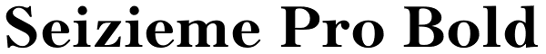 Seizieme Pro Bold Font