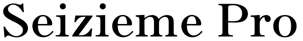 Seizieme Pro Font