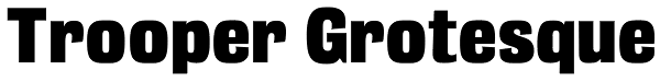 Trooper Grotesque Font